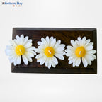 Daisy Flower Candle Set – Designer Floral Decorative Candles for Festive Décor by Festives Buy